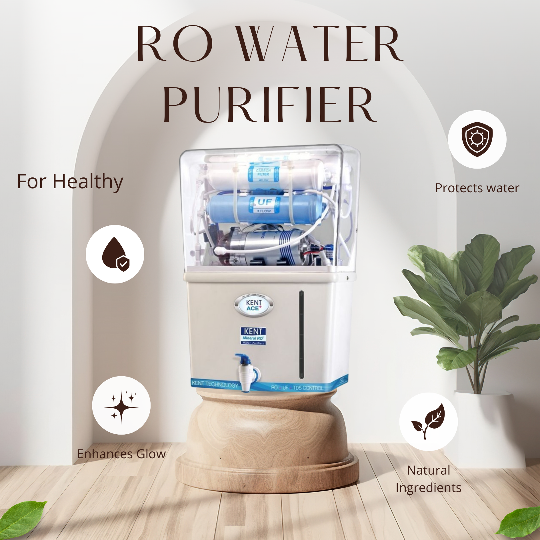 Aquaguard Water Purifier